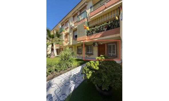 Revente - Apartment -
Torrevieja - Costa Blanca