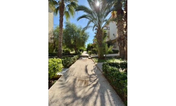 Revente - Apartment -
Torrevieja - Costa Blanca