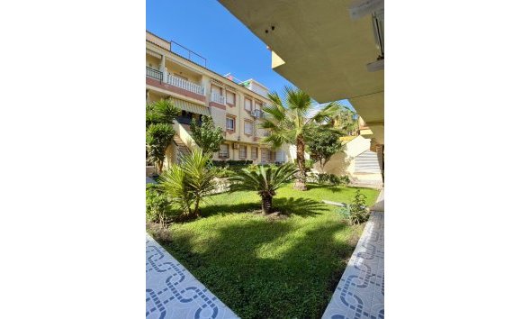 Revente - Apartment -
Torrevieja - Costa Blanca