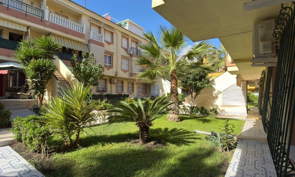 Revente - Apartment -
Torrevieja - Costa Blanca