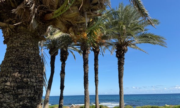 Revente - Apartment -
Torrevieja - Costa Blanca