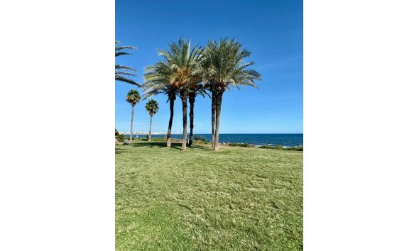 Revente - Apartment -
Torrevieja - Costa Blanca