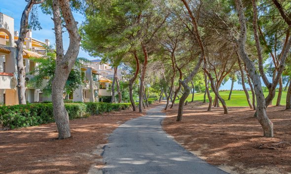 Revente - Duplex Penthouse -
Dehesa de Campoamor - Costa Blanca