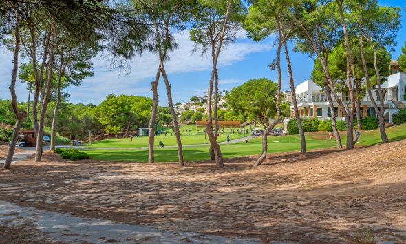 Revente - Duplex Penthouse -
Dehesa de Campoamor - Costa Blanca