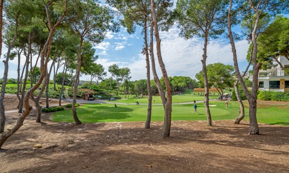 Revente - Duplex Penthouse -
Dehesa de Campoamor - Costa Blanca