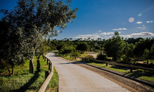 Obra nueva - Villa -
Rojales - Doña Pena