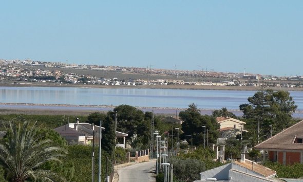 Obra nueva - Villa -
Los Montesinos - La Herrada