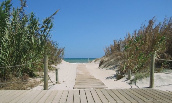 Nouvelle construction - Bungalow -
Pilar de la Horadada - La Torre De La Horadada