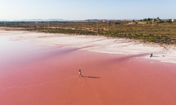 Obra nueva - Ático -
Torrevieja - La Mata