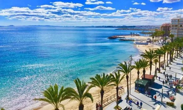 Obra nueva - Ático -
Torrevieja - Playa de los Locos