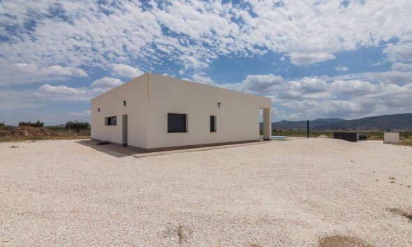 Obra nueva - Villa -
Pinoso - Campo