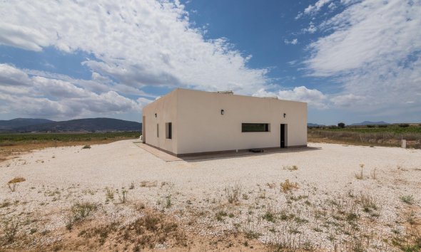 New Build - Villa -
Pinoso - Campo