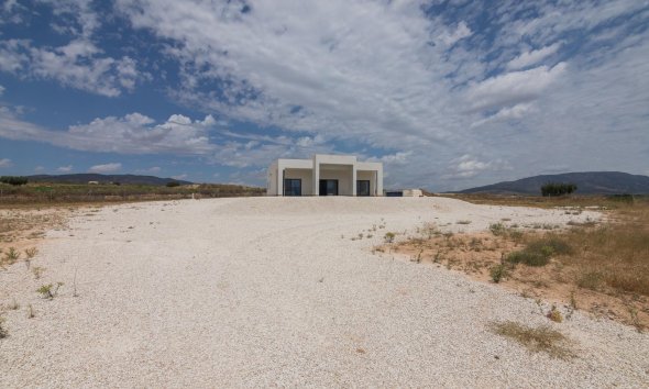 Obra nueva - Villa -
Pinoso - Campo