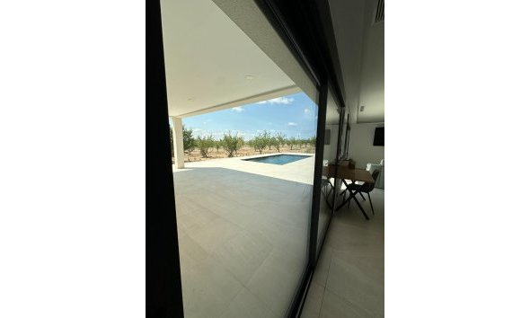 Obra nueva - Villa -
Pinoso - Campo