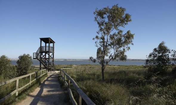 Obra nueva - Bungalow -
Torrevieja - Torrejón