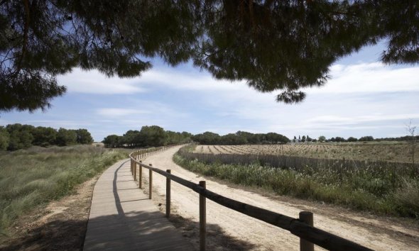 Obra nueva - Bungalow -
Torrevieja - Aguas Nuevas