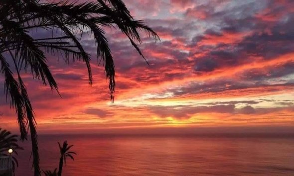 Nouvelle construction - Bungalow -
Torrevieja - Altos del Sol