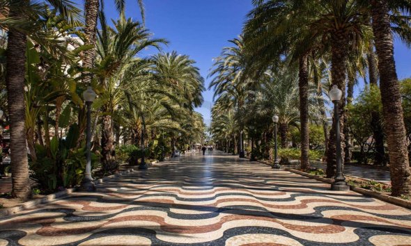 Nouvelle construction - Apartment -
Alicante - Centro