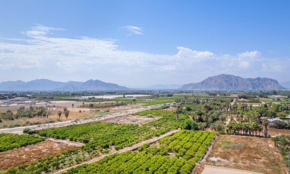 Nouvelle construction - Attique -
Jacarilla - pueblo