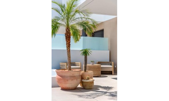 Nouvelle construction - Town House -
Dolores - Sector 3