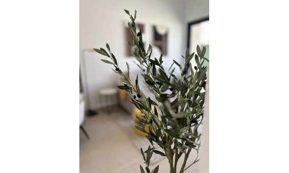 Nouvelle construction - Bungalow -
San Fulgencio - Pueblo