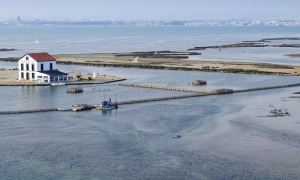 Nouvelle construction - Villa -
San Pedro del Pinatar - Centro