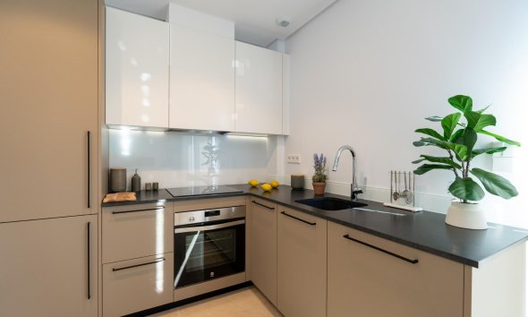 Nouvelle construction - Villa -
La Marina - El Pinet