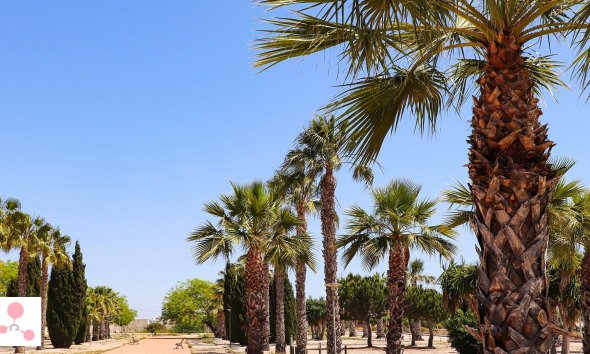 Nouvelle construction - Villa -
San Fulgencio - La Escuera