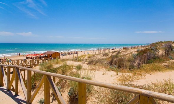 Nouvelle construction - Apartment -
Guardamar del Segura - Pueblo