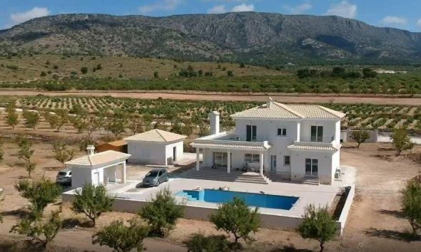 Nouvelle construction - Villa -
Pinoso - Camino Del Prado