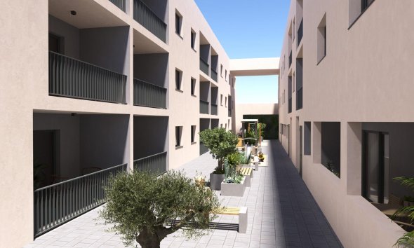 Nouvelle construction - Apartment -
San Miguel de Salinas - Pueblo