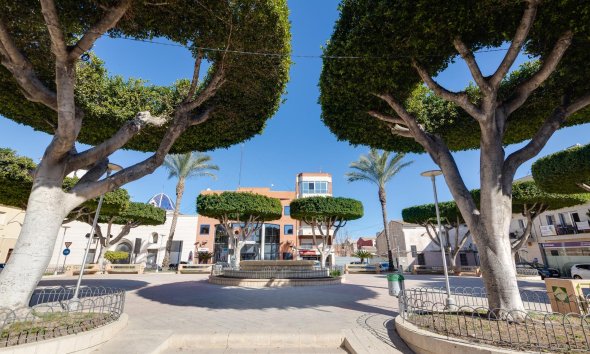 Nouvelle construction - Apartment -
San Fulgencio - Pueblo