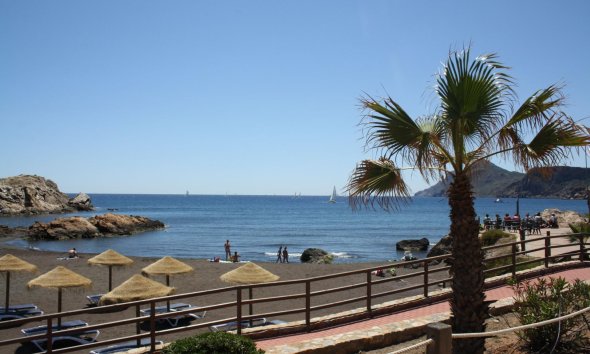 Nouvelle construction - Town House -
La Union - centro