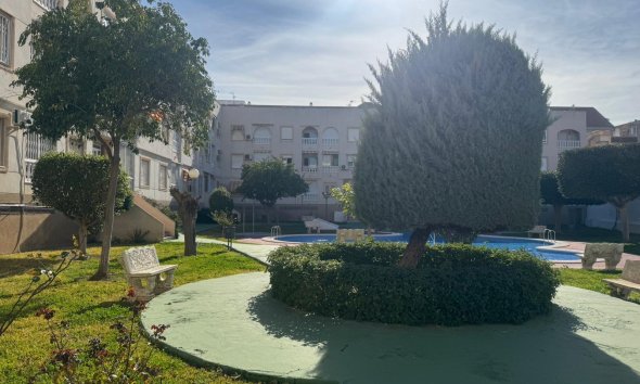 Reventa - Apartment -
Torrevieja - Costa Blanca