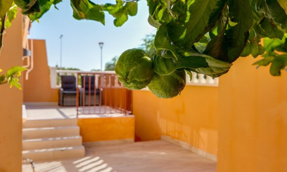 Reventa - Bungalow -
Torrevieja - Aguas Nuevas