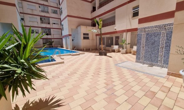 Revente - Apartment -
Torrevieja - Centro