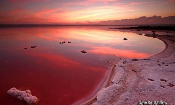 Reventa - Duplex -
Torrevieja - La Siesta