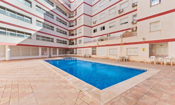 Revente - Apartment -
Torrevieja - Costa Blanca