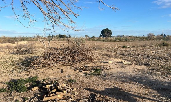 Revente - Finca -
Daya Nueva - Comunidad Valenciana