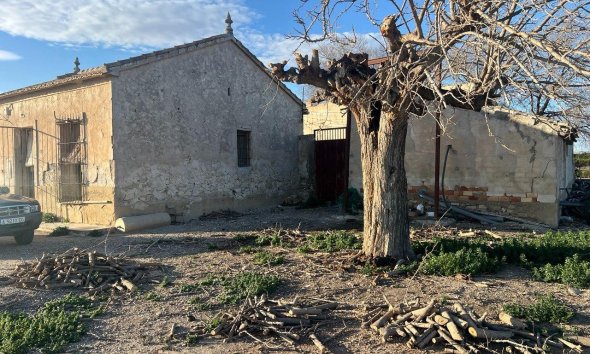 Revente - Finca -
Daya Nueva - Comunidad Valenciana