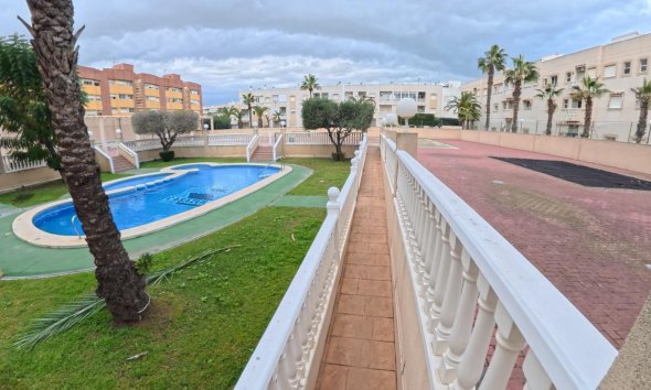 Reventa - Apartment -
Torrevieja - Centro