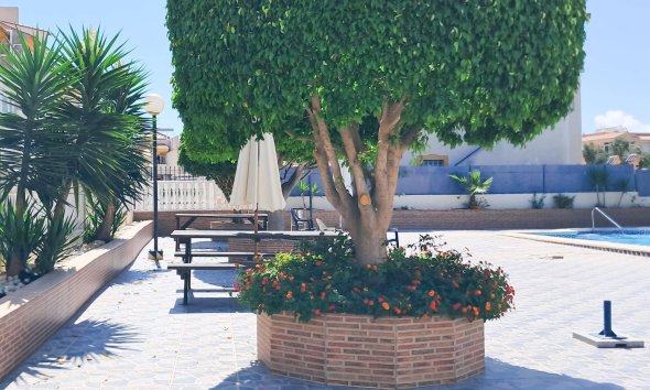 Revente - Apartment -
Torrevieja - Parque Acuático - Sector 25