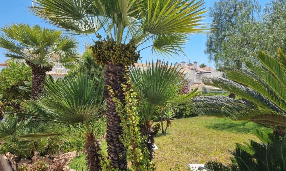 Revente - Apartment -
Torrevieja - Los Balcones - Los Altos del Edén