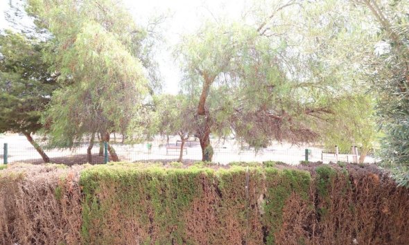 Reventa - Bungalow -
Orihuela Costa - Costa Blanca