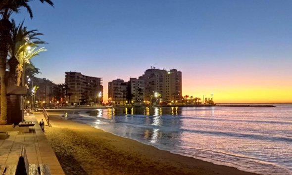 Revente - Apartment -
Torrevieja - Paseo Maritimo