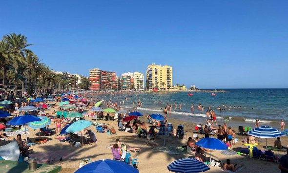 Revente - Apartment -
Torrevieja - Paseo Maritimo