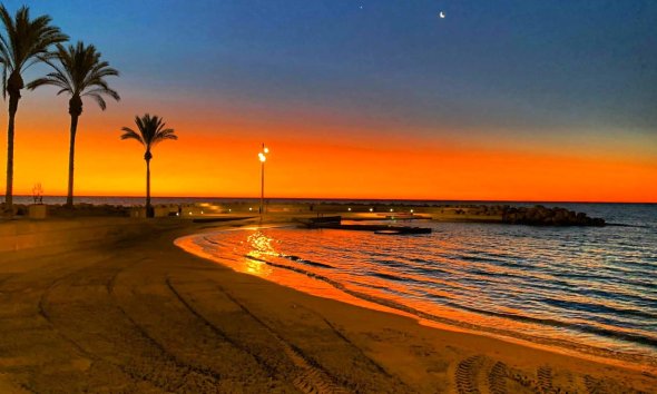 Revente - Apartment -
Torrevieja - Paseo Maritimo