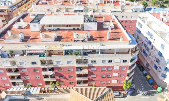 Resale - Apartment -
Torrevieja - Costa Blanca
