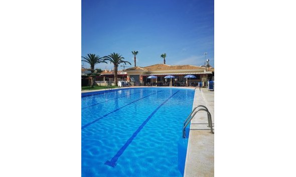 Reventa - Bungalow -
Torrevieja - Costa Blanca