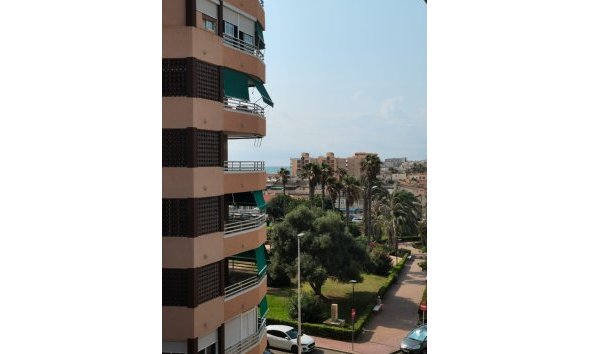 Reventa - Apartment -
Torrevieja - Costa Blanca